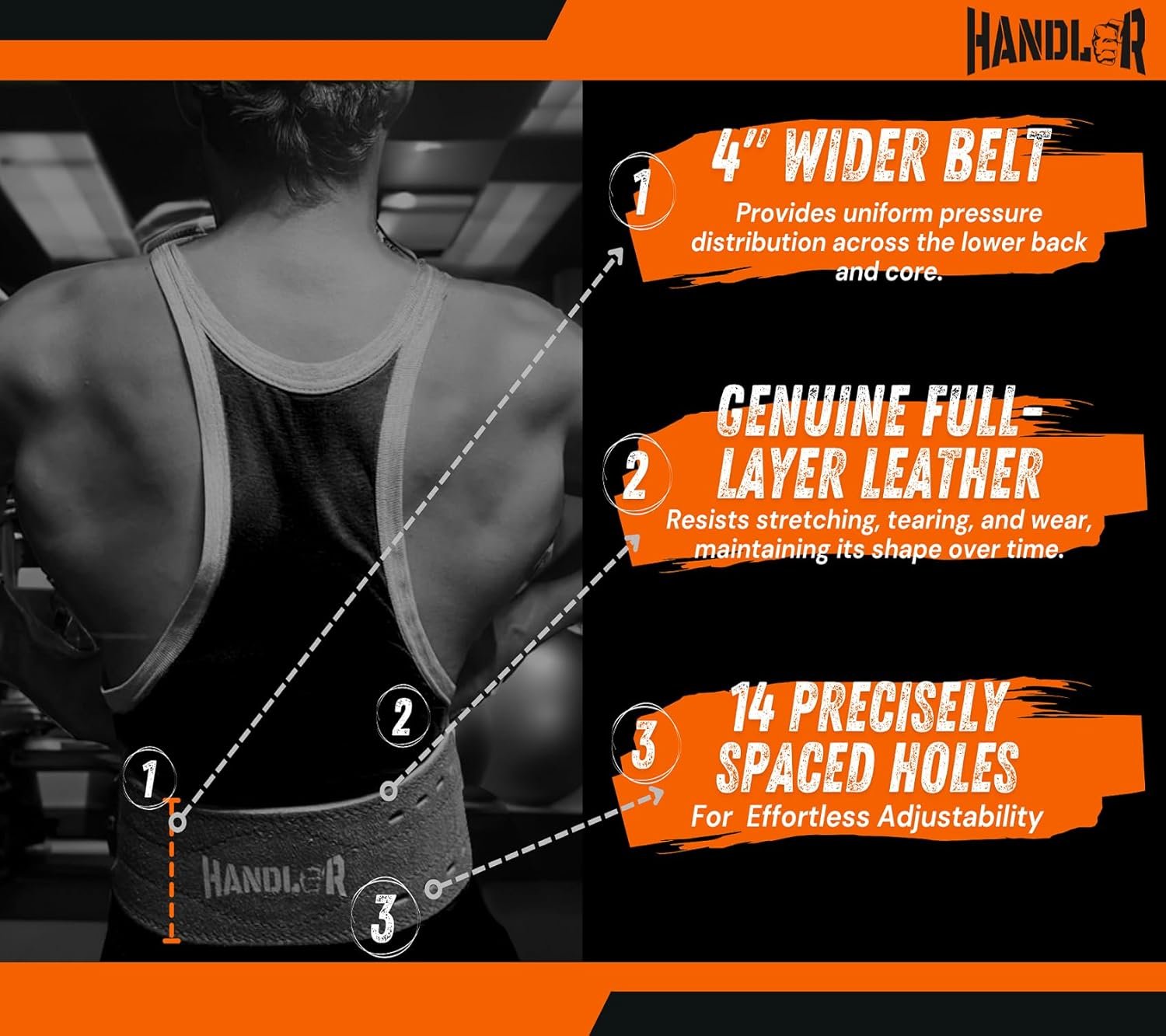 Handler 100% All Leather Powerlifting Gym Belt – 5.5mm Thick Weight Lifting Belt for Men & Women – Brown (Medium) – Professional Weight Training Belt for Heavy Workouts & Back Support - Image 3